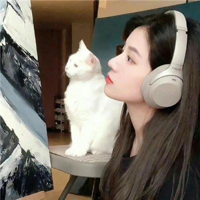 最后的骑士